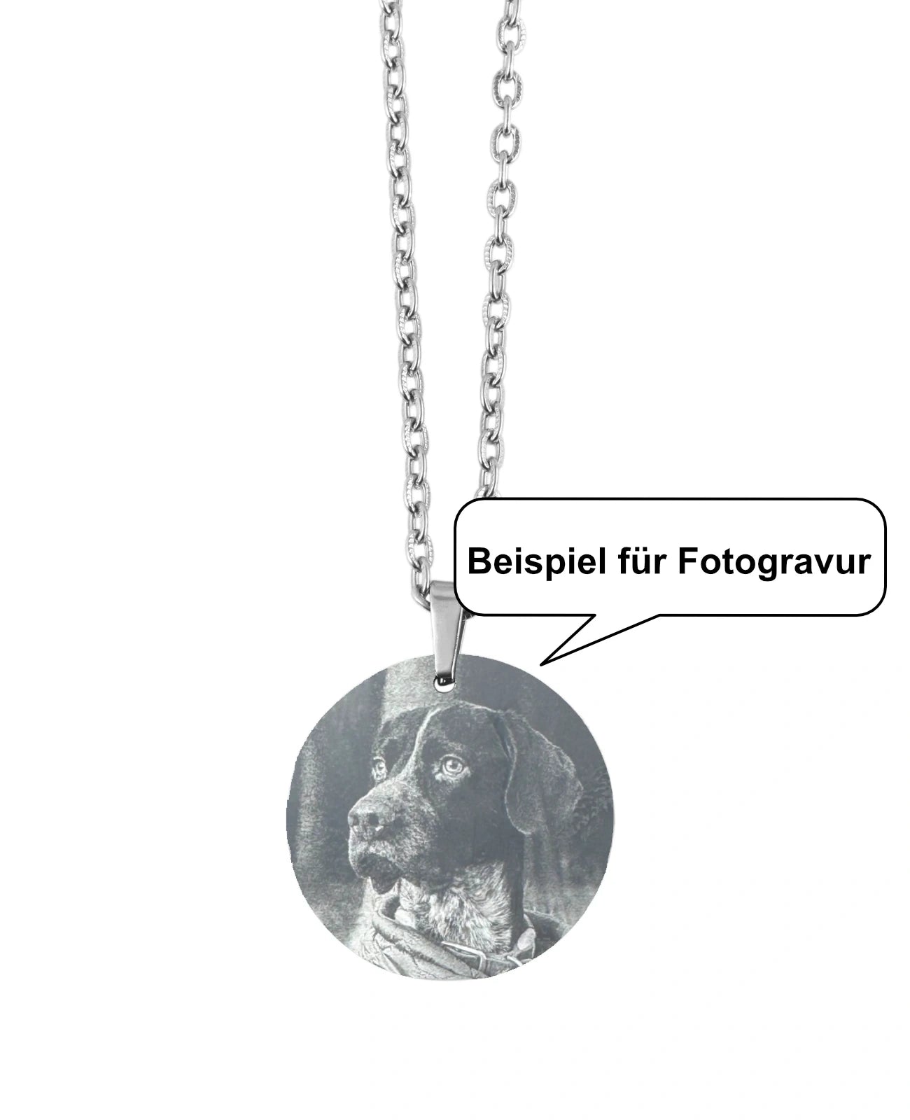 Beispiel für Fotogravur Hund