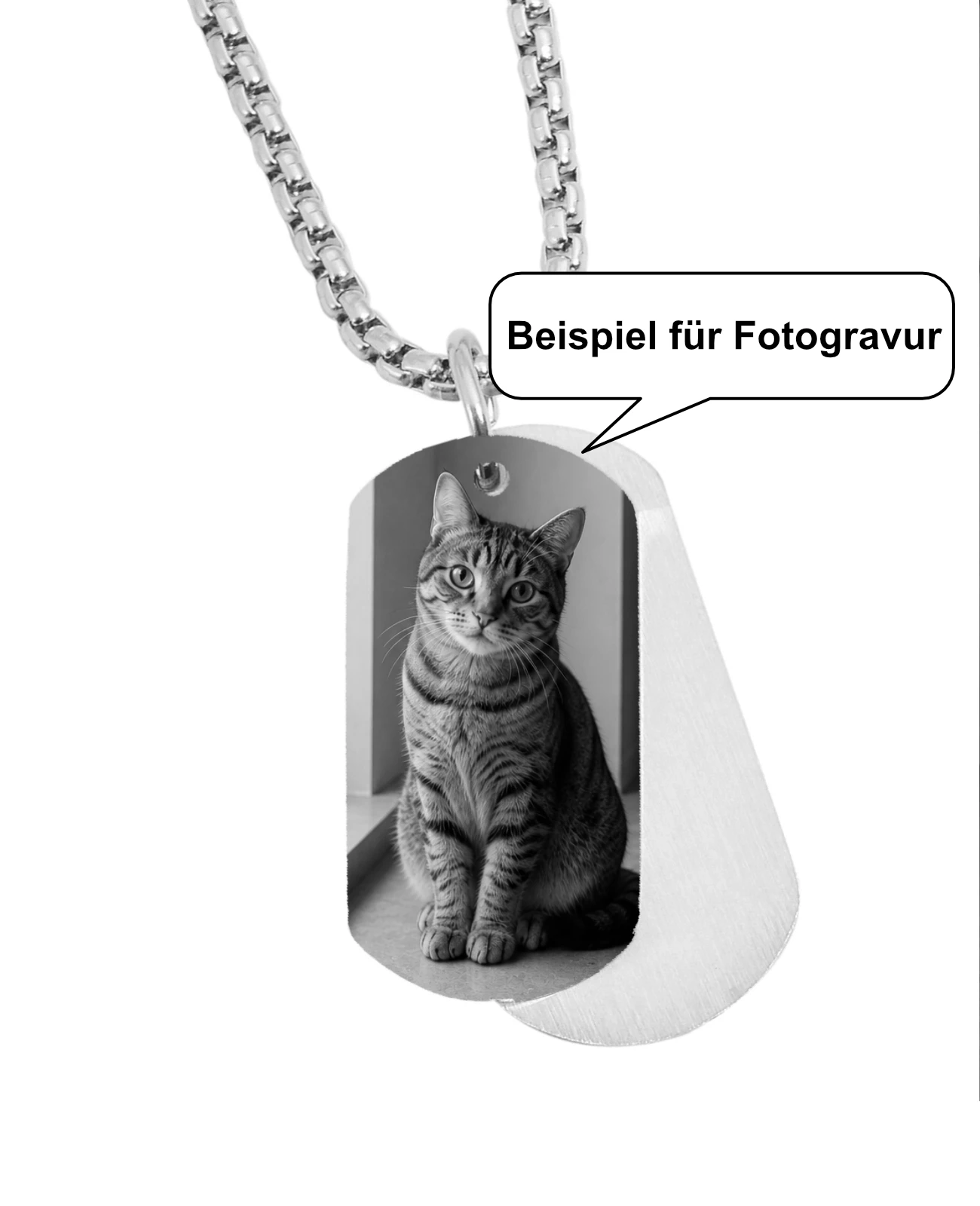 Beispiel für Fofotogravur Katze
