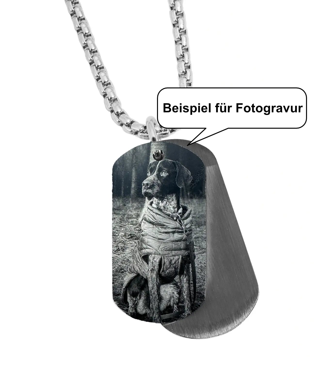 Beispiel für Fotogravur Hund