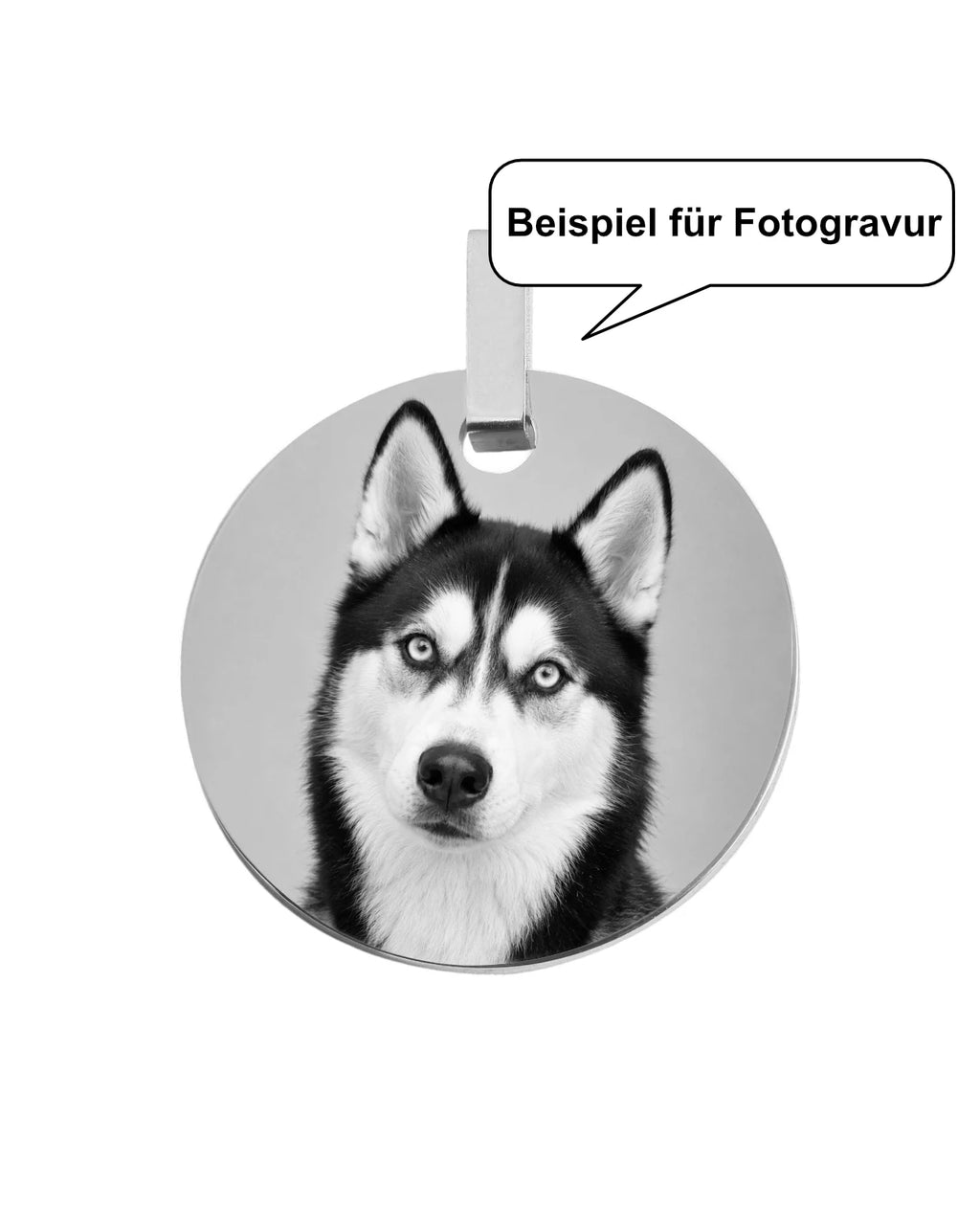 Beispiel für Fotogravur Hund Husky