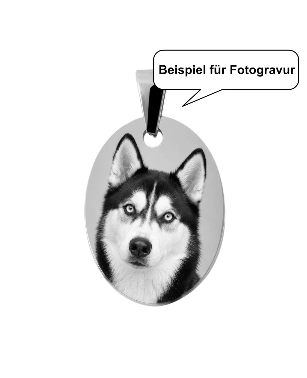 Beispiel für Fotogravur Hund Husky