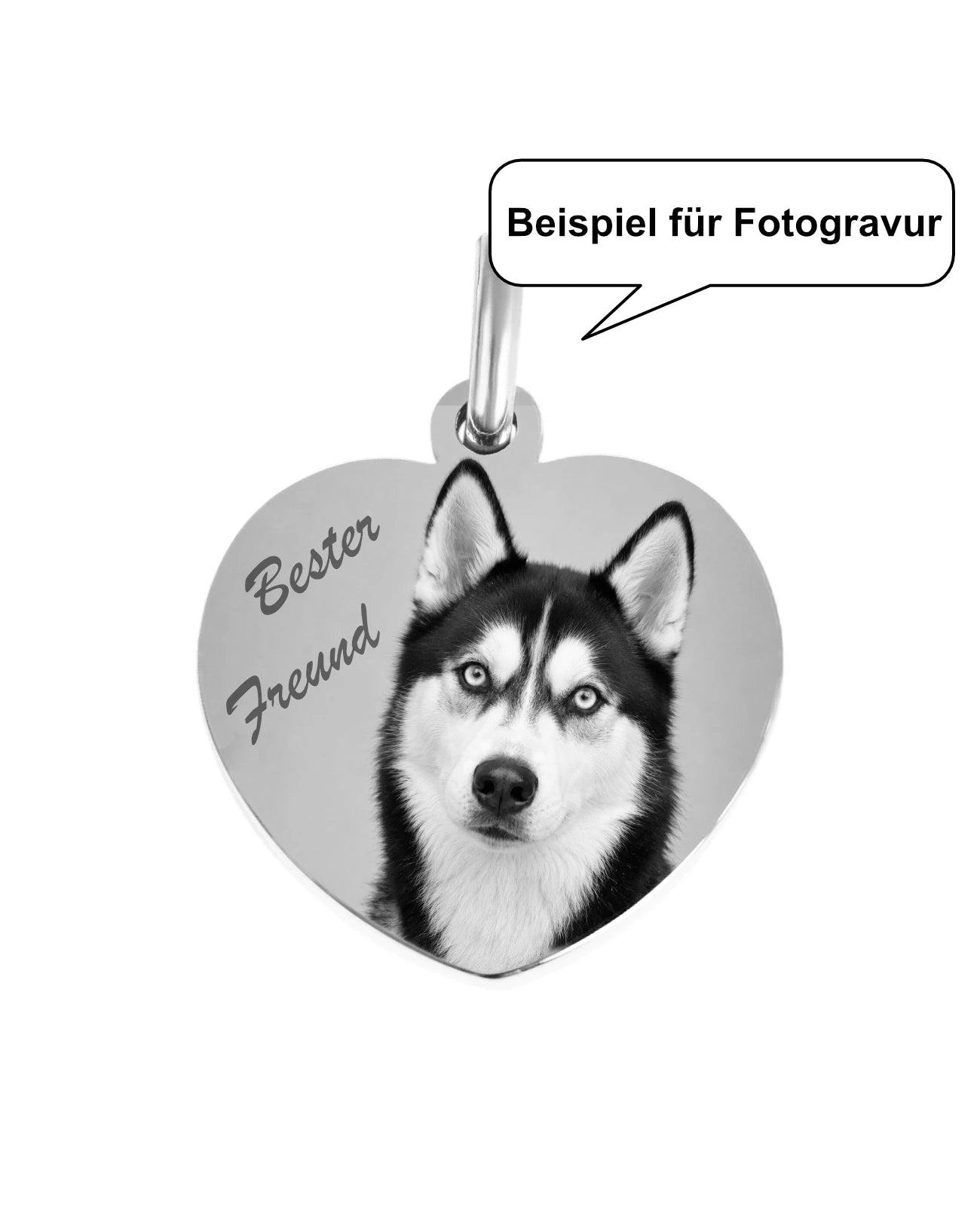 Beispiel für Fotogravur Hund Husky Bester Freund