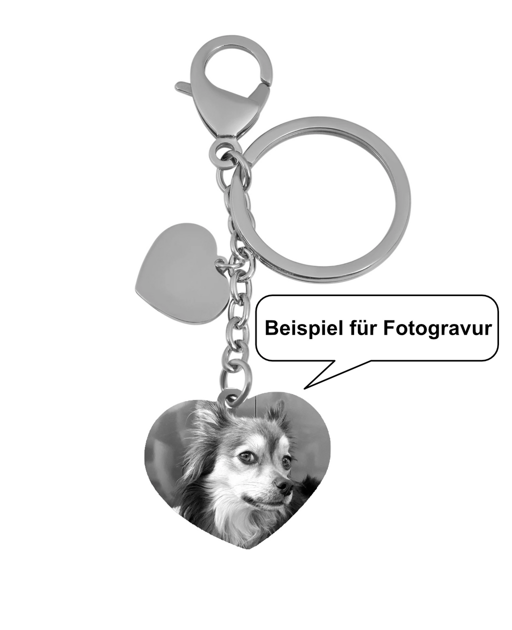 Beispiel für Fotogravur Hund