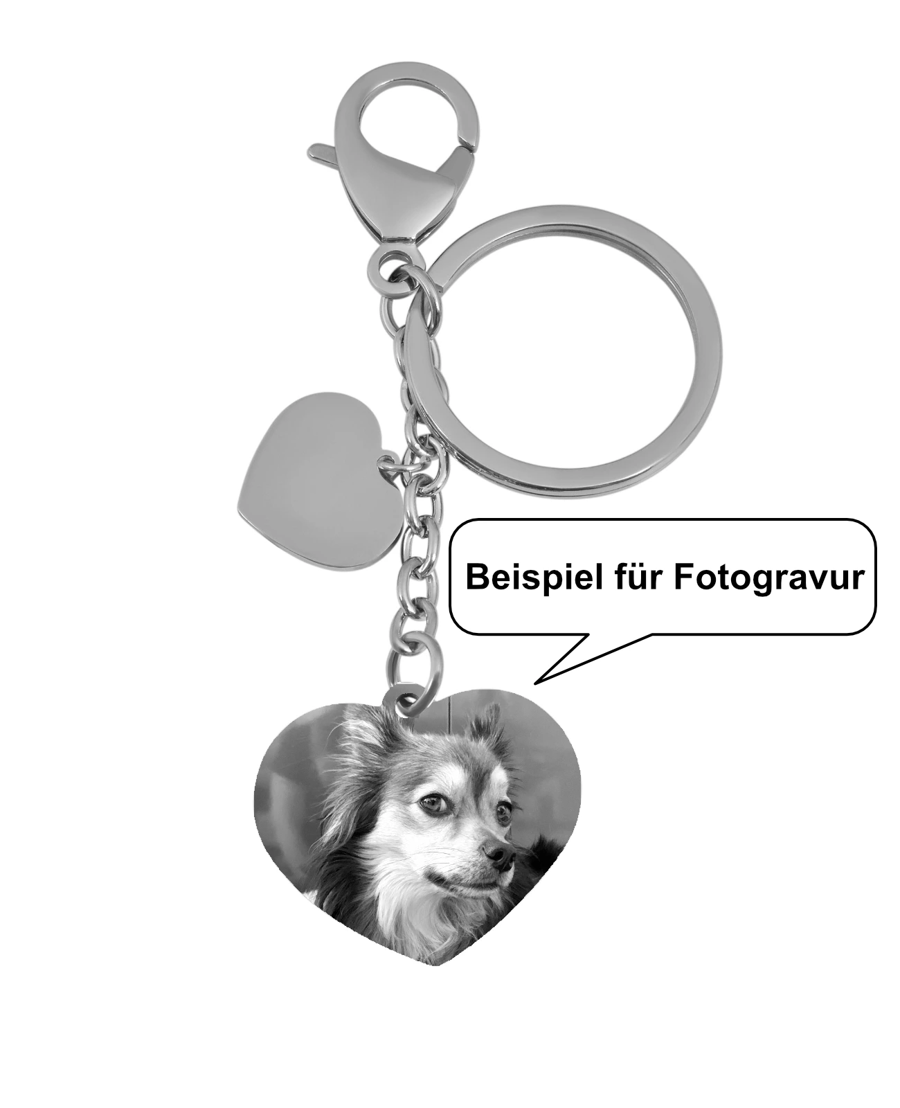 Beispiel für Fotogravur Hund