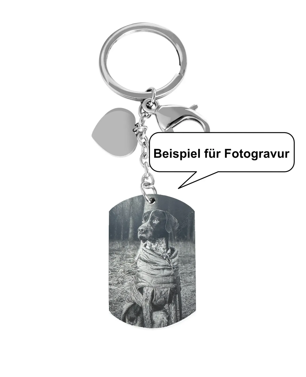 Beispiel für Fotogravur Hund