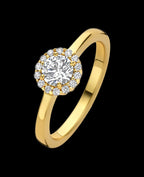 Gleichlaufende Ringschine großer Zirkonia in der Mitte aussen 14 kleinere Zirkonia