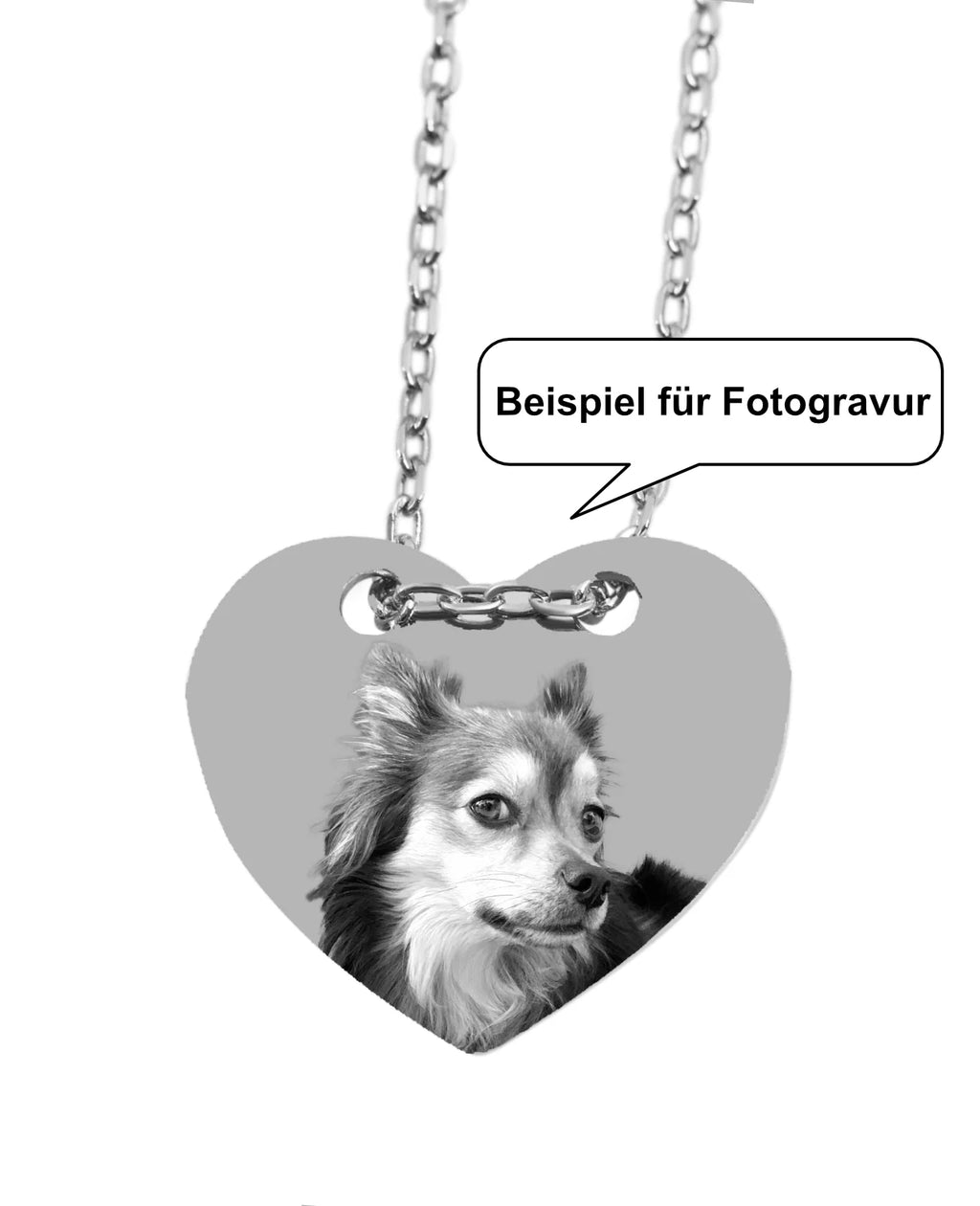 Beispiel für Fotogravur Hund