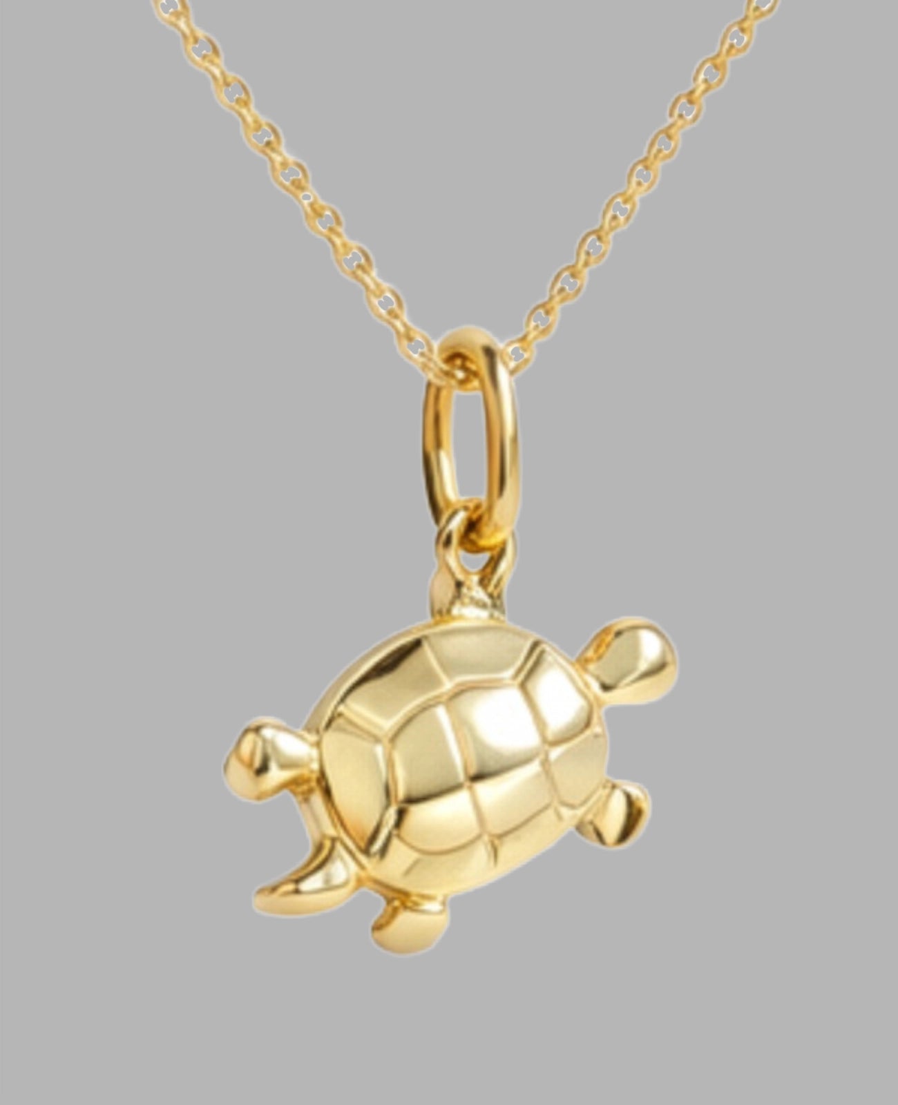 Ankerkette mit Schildkröte Anhänger plastisch