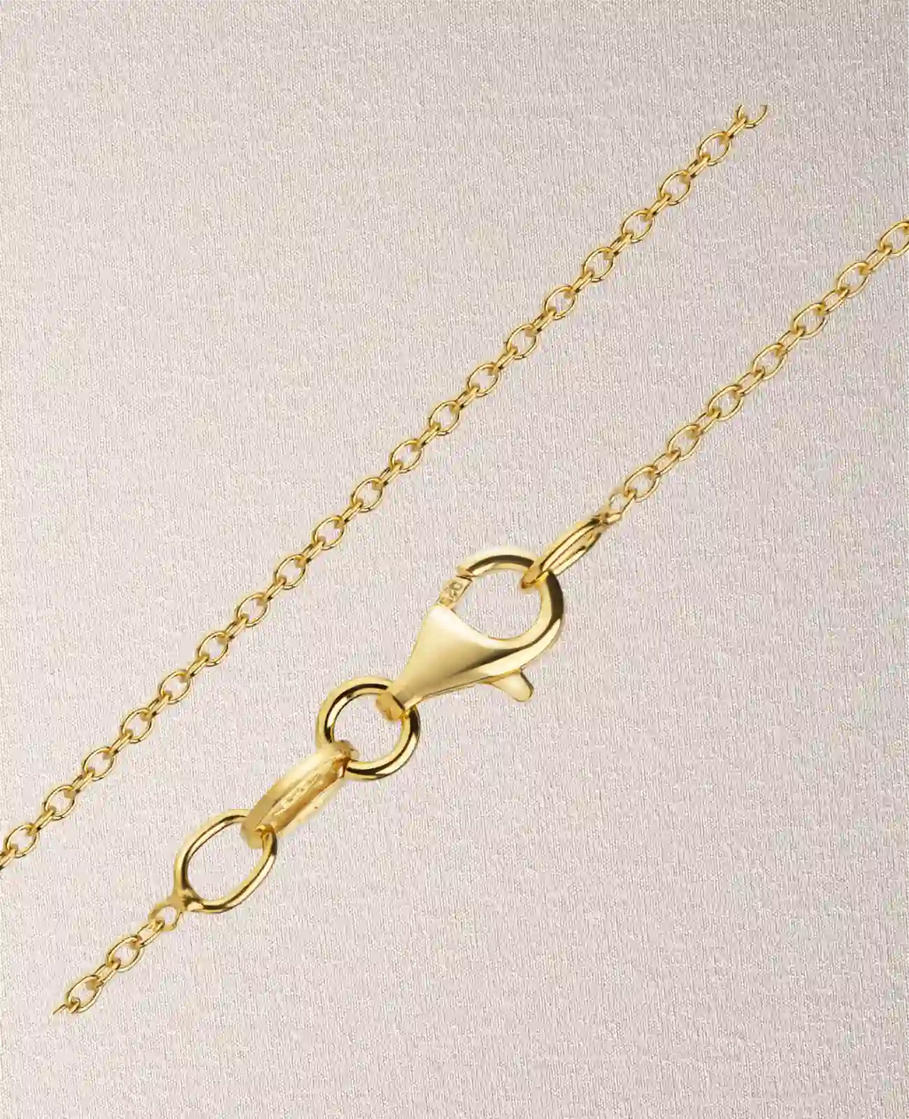 Ankerkette mit karabinerverschluß