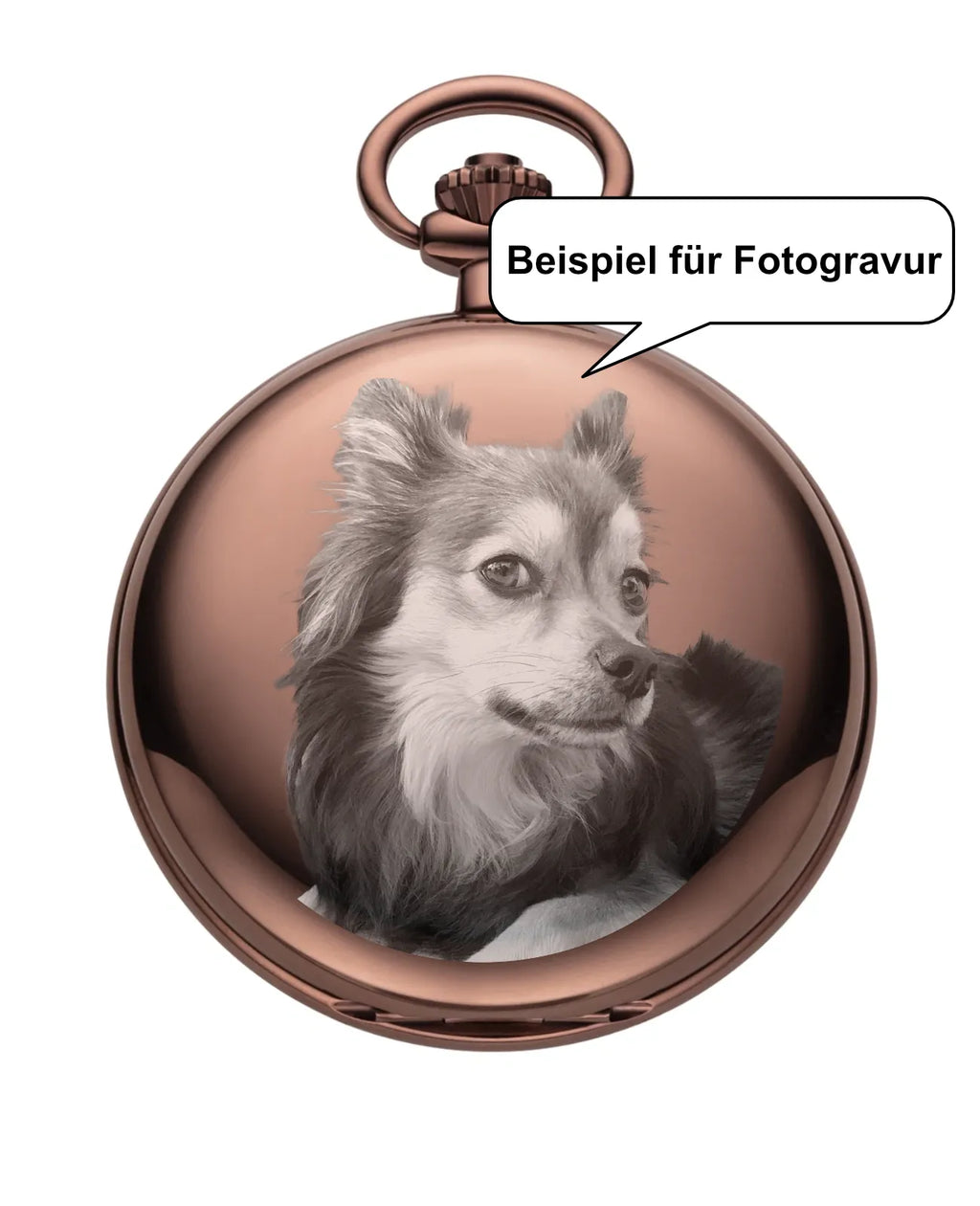 Beispiel für Fotogravur Hund